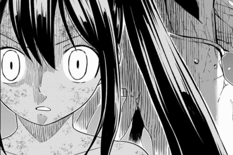 En Bref Fairy Tail: 100 Years Quest Chapitre 217 en Scan VF FR, Happy et Carla Décident de se Lancer dans La
