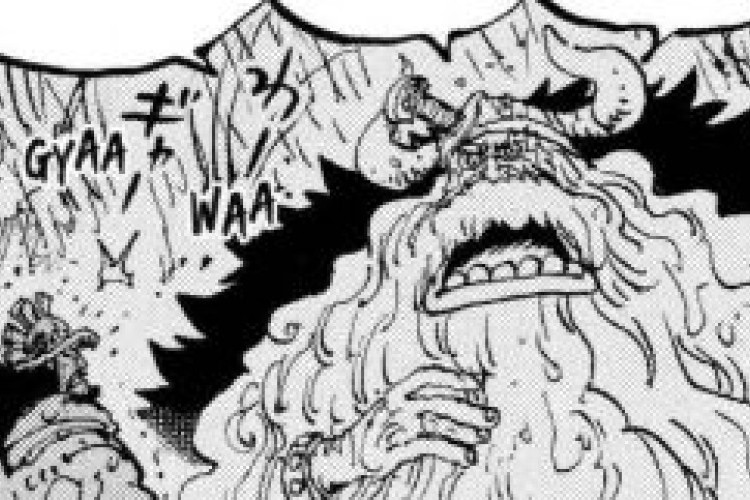 Résumé de l'histoire et spoilers One Piece Chapitre 1190 VF Scan, La lutte pour atteindre le sommet