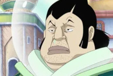 Les Armes des Dragons Célestes dans One Piece, e que le Manga a Déjà Révélé