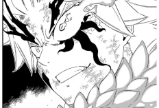 Happy et Carla Décident de se Lancer dans La, Calendrier des Sorties Fairy Tail: 100 Years Quest Chapitre 219 en Scan VF FR